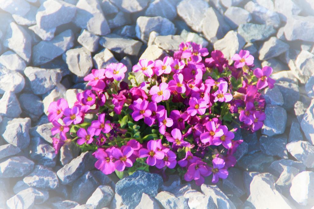 Bio-Bauernhof Heidegger Βίλα Möggers Εξωτερικό φωτογραφία