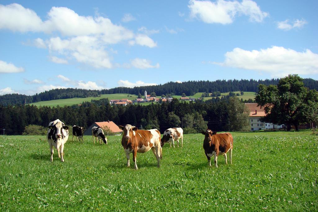 Bio-Bauernhof Heidegger Βίλα Möggers Εξωτερικό φωτογραφία